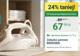 ERLI Zelazko parowe Berdsen oferta