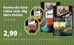 Torimpex Sheba Karma dla kota oferta