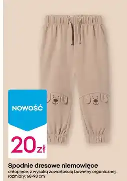 Pepco Spodnie dresowe niemowlęce chłopięce, z wysoką zawartością bawełny organicznej oferta