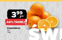 Netto Pomarańcza oferta