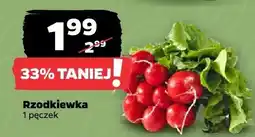 Netto Rzodkiewka pęczek oferta