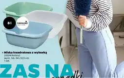 Netto Miska kwadratowa z wylewką, różne kolory oferta