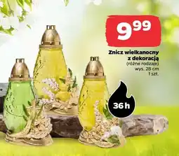 Netto Znicz wielkanocny z dekoracją, różne rodzaje oferta