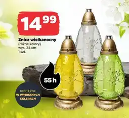 Netto Znicz wielkanocny różne kolory oferta