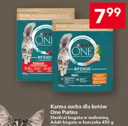 Lewiatan Karma sucha dla kotów Sterilcat bogata w wołowinę oferta