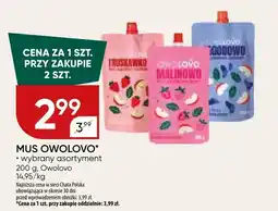Chata Polska Mus Owolovo oferta