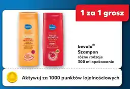 Kaufland bevola Szampon oferta