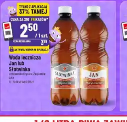 Polomarket Woda lecznicza Jan lub Słowinka oferta