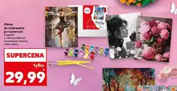 Kaufland Obraz do malowania po numerach oferta