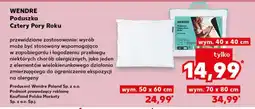 Kaufland WENDRE Poduszka Cztery Pory Roku oferta