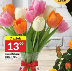 Twój Market Bukiet tulipanów ciętych oferta