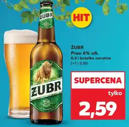 Kaufland Zubr Piwo oferta