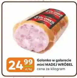 Gama Golonko w galarecie mini madej wróbel oferta