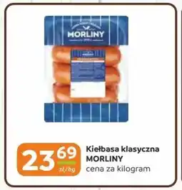 Gama Kiełbasa klasyczna morliny oferta