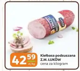 Gama Kiełbasa podsuszana z.m. łuków oferta