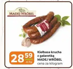 Gama Kiełbasa krucha z galaretką madej wróbel oferta