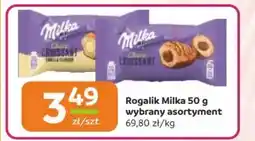 Gama Rogalik Milka oferta