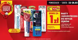 Biedronka Pasta do zębów wszystkie rodzaje oferta