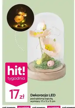 Pepco Dekoracja LED pod szklaną kopułą oferta