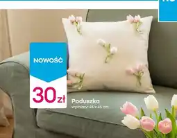 Pepco Poduszka 45x45 cm oferta