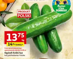 Auchan Ogórek krótki luz oferta
