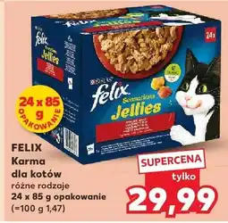 Kaufland Karma dla kotów różne rodzaje oferta