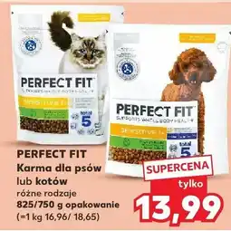 Kaufland Karma dla psów lub kotów różne rodzaje oferta