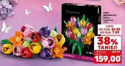 Kaufland Bukiet tulipanów 11501 oferta