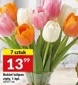 Twój Market Bukiet tulipan cięty 7 sztuk oferta