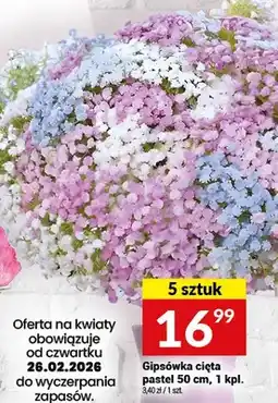 Twój Market Gipsówka cięta pastel 5 sztuk oferta
