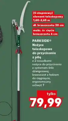Kaufland Nożyce teleskopowe do przycinania z piłą oferta