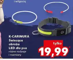 Kaufland Świecąca obroża LED dla psa oferta