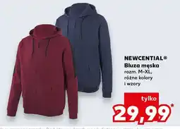 Kaufland Bluza męska różne kolory i wzory oferta