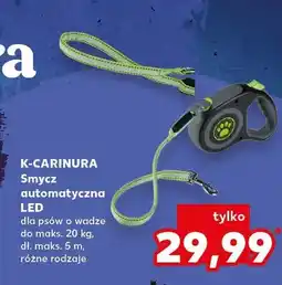 Kaufland Smycz automatyczna LED oferta