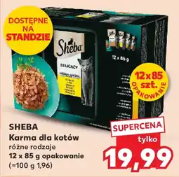 Kaufland Sheba Karma dla kotów oferta