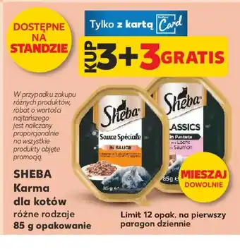 Sheba Karma dla kotów