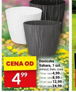 Twój Market Doniczka Sahara oferta