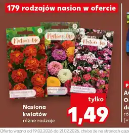 Kaufland Nature line Nasiona kwiatów oferta