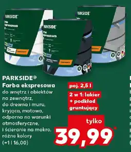 Kaufland Parkside Farba ekspresowa oferta