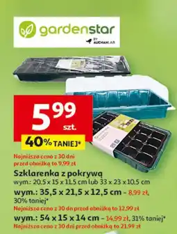 Auchan Szklarenka z pokrywą 54 x 15 14 cm Garden Star oferta
