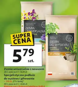Auchan Ziemia do wysiewu i pikowania oferta
