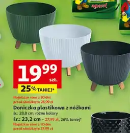 Auchan Doniczka plastikowa z nóżkami 23.2 cm oferta