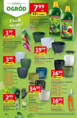 Auchan Nawóz do roślin zielonych Biohumus oferta