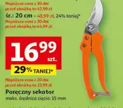 Auchan Sekator oferta