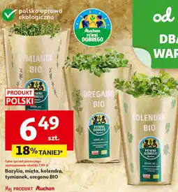 Auchan Tymianek bio Auchan Pewni Dobrego oferta
