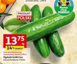 Auchan Ogórki krótkie polska Auchan Pewni Dobrego oferta