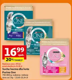 Auchan Karma dla kota junior Purina One oferta