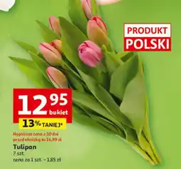 Auchan Tulipany polskie oferta