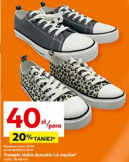 Auchan Trampki męskie oferta