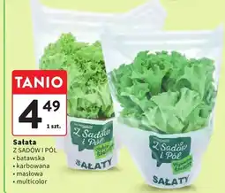 Intermarche Sałata multicolor oferta